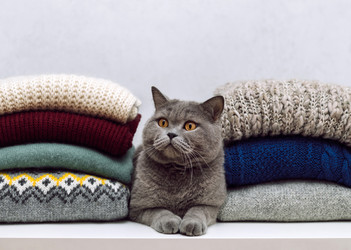 Similar image 21682685