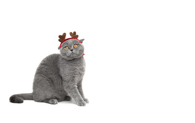 Similar image 21682690