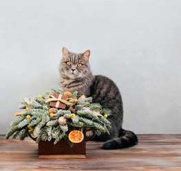 Similar image 21682693