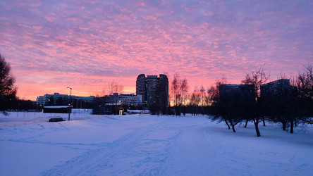 Similar image 21676865