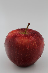 Similar image 21677760