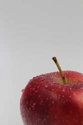 Similar image 21678059