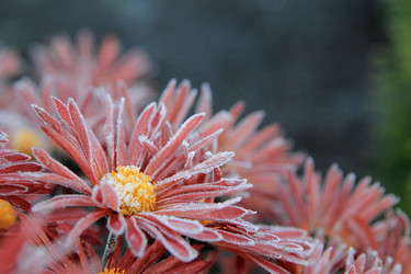 Similar image 21677375