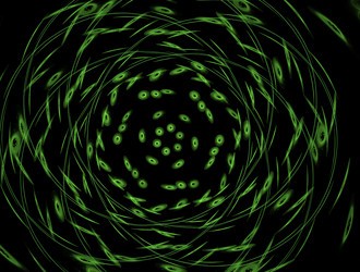 Similar image 21680902