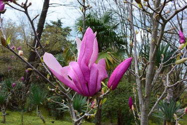 Similar image 21676879