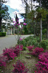 Similar image 21676881