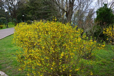 Similar image 21676882