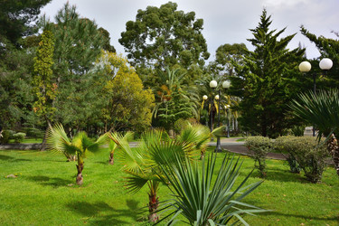 Similar image 21676931