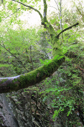 Similar image 21676933