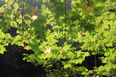 Similar image 21676936