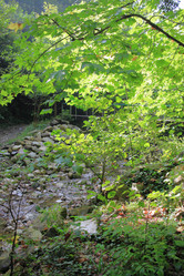 Similar image 21676937