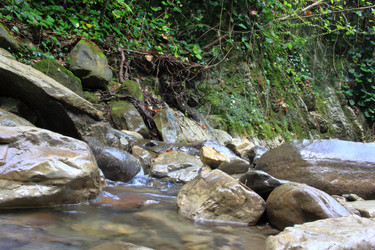 Similar image 21676939