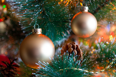 Similar image 21676955