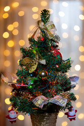 Similar image 21676957