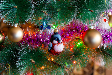 Similar image 21676964