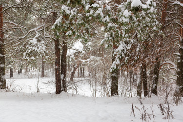 Similar image 21677206