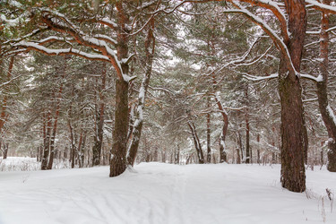 Similar image 21677209