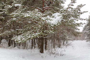 Similar image 21677210