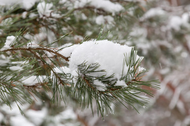 Similar image 21677211