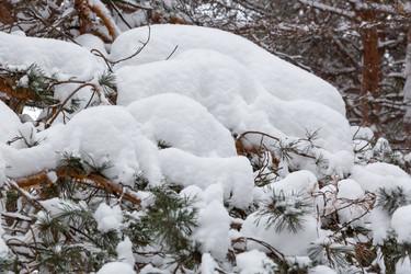 Similar image 21677212