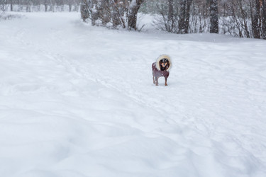 Similar image 21677213