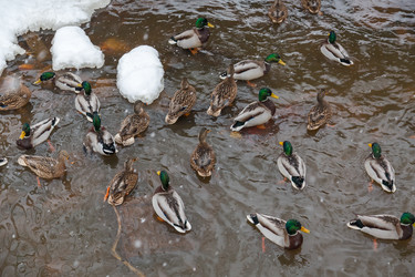 Similar image 21677214