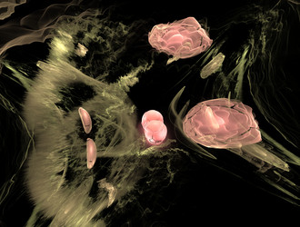 Similar image 21680930