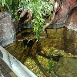 Similar image 21677230