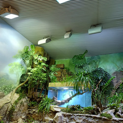 Similar image 21677232