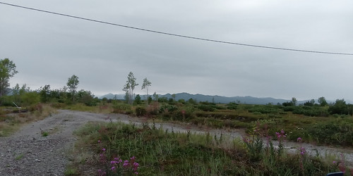 Similar image 21677233