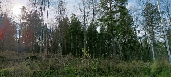 Similar image 21677239