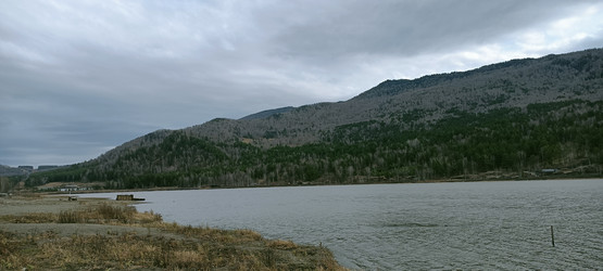 Similar image 21677316