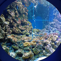 Similar image 21677334