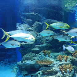 Similar image 21677335