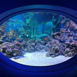 Similar image 21677336