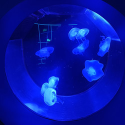 Similar image 21677337