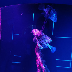 Similar image 21677338