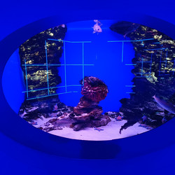 Similar image 21677339