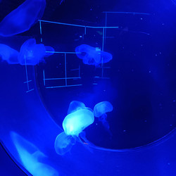 Similar image 21677341