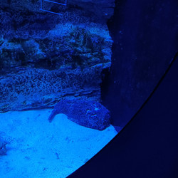 Similar image 21677342