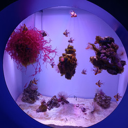 Similar image 21677343