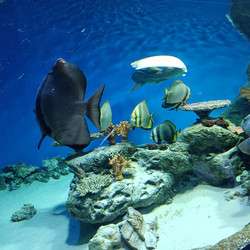 Similar image 21677344