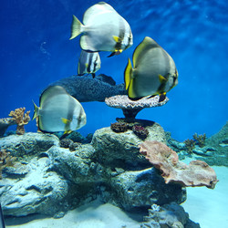 Similar image 21677345