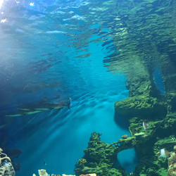 Similar image 21677346