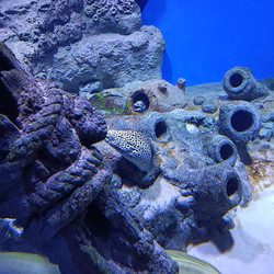 Similar image 21677347