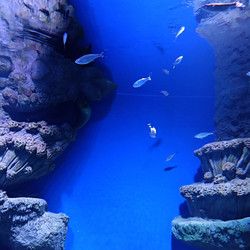 Similar image 21677348