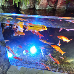 Similar image 21677350