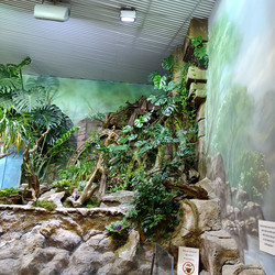 Similar image 21677354