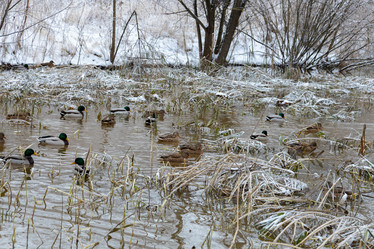 Similar image 21677356