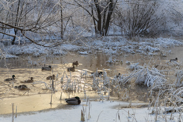 Similar image 21677357